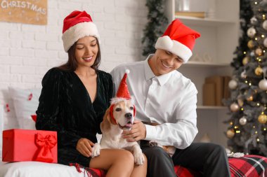 Evde yatakta oturan sevimli Beagle köpeği olan mutlu genç çift. Noel kutlaması