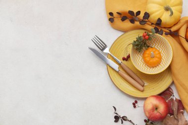 Taze bal kabakları, elma, gül kalçası böğürtlenleri ve beyaz arka planda sonbahar yapraklarıyla güzel bir masa.