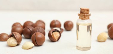 Işık masasında bir şişe macadamia yağı ve fındık.