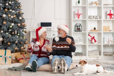 Noel havai fişekleri ve köpeğiyle evde şampanya içen olgun bir çift.