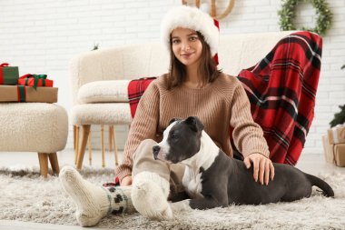 Noel Baba şapkalı güzel genç bir kadın ve şirin bir Staffordshire Terrier köpeği Noel arifesinde evde.