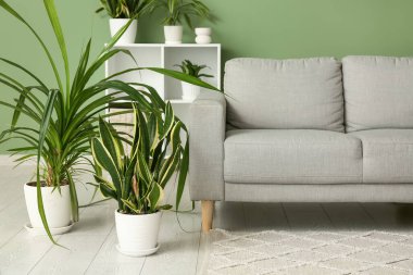 Modern oturma odasının içinde rahat bir kanepe ve bitkiler.