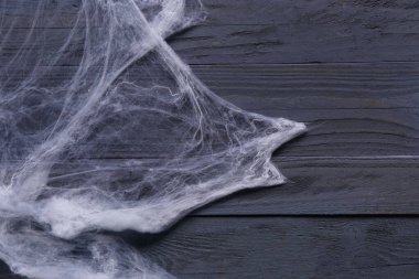 Mavi ahşap arka planda örümcek ağı. Cadılar Bayramı