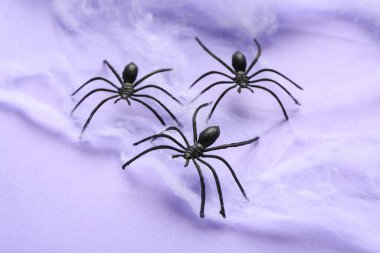 Cadılar Bayramı partisi için arkaplanda örümcekler olan örümcek ağı