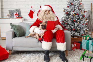 Noel Baba, Noel için dekore edilmiş şirin Fransız buldoguyla kitap okuyor.