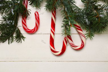 Noel şeker kamışları ve beyaz arka planda köknar dalları