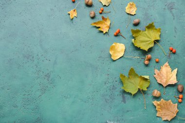 Sonbahar yaprakları meşe palamudu ve yeşil grunge arka planda viburnum üzümü