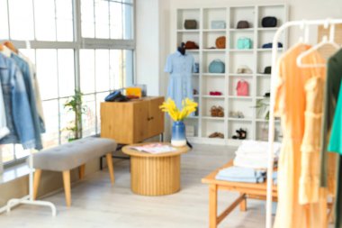 Tablolu ve raf üniteli giyim mağazasının bulanık görüntüsü