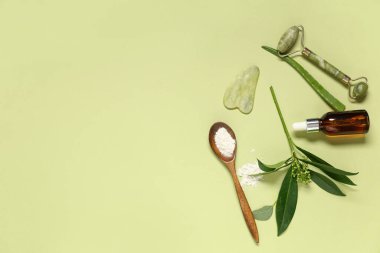 Yüz masajı silindiri, guasha, temel yağ, kozmetik maske için toz ve yeşil arka planda bitkiler