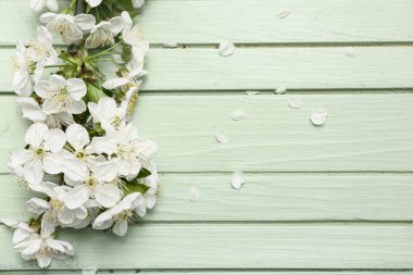 Çiçek açan güzel bir dal ve yeşil ahşap arka planda taç yaprakları