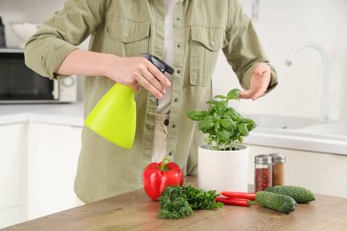 Mutfakta fesleğen püskürten kadın.