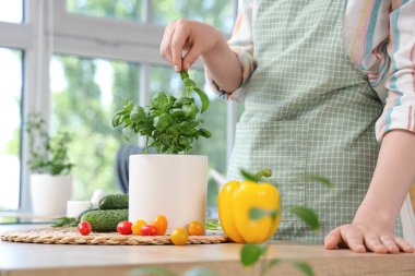 Fesleğen ve sebzeli kadın mutfakta.