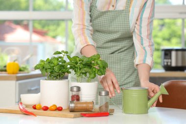 Mutfakta fesleğen bitkisi olan kadın.