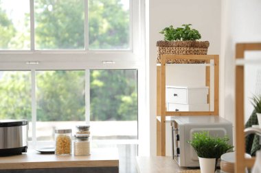 Yeşil bitkilerle modern mutfağın içinde.