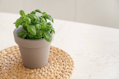 Mutfaktaki masada taze fesleğen var.