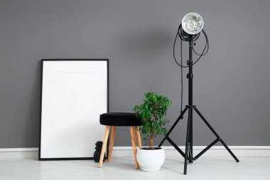 Tabure, ev bitkisi, çerçeve ve profesyonel ışıklandırma ekipmanlarıyla modern fotoğraf stüdyosu