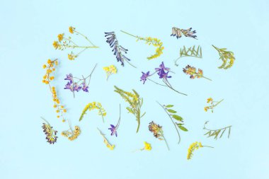 Mavi arkaplanda kurumuş çiçekler