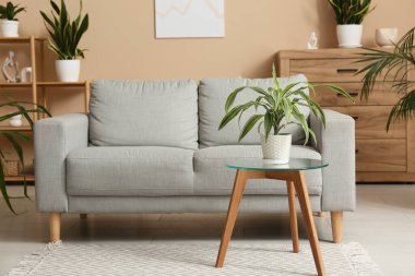 Oturma odasının içinde rahat bir kanepe, masa ve bitkiler var.