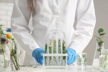 Laboratuvarda bitki ve şifalı bitkilerden oluşan test tüpleri olan kadın bilim adamı.