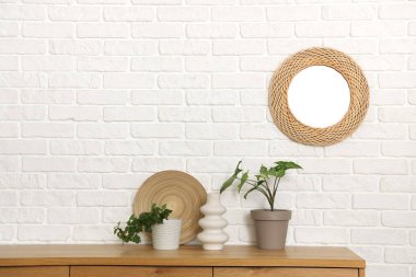 Oturma odasındaki beyaz tuğla duvarda bitkiler ve aynalar var.