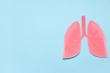 Mavi arka planda kağıt ciğerler