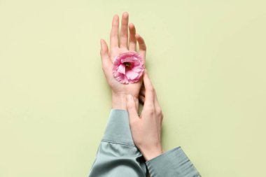 Açık yeşil arka planda taze çiçekli kadın eller. Bakım kavramı