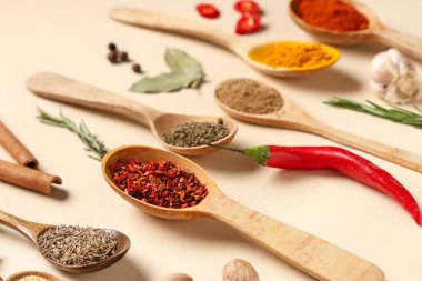 Renkli arka planda ahşap kaşıklarla taze aromatik baharatlar kompozisyonu