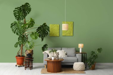 Monstera bitkileri, sehpa ve yeşil duvarın yanındaki kanepe.