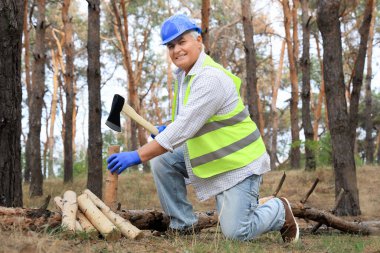 Ormanda odun kesen baltalı kıdemli ormancı.