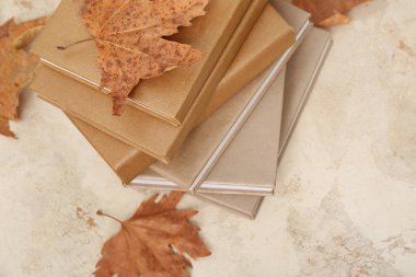 Hafif grunge arkaplan üzerinde kitap yığını ve sonbahar yaprakları ile kompozisyon