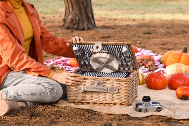 Hasır sepeti, balkabağı ve lezzetli yemekleri olan genç bir kadın sonbahar parkında piknikte oturuyor, yakın plan.
