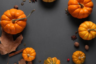 Çekirdekli, fındıklı, yıldız anasonlu, tarçınlı ve sonbahar yapraklı taze balkabaklarından yapılmış çerçeve.