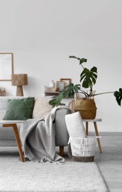 Konforlu kanepe, yastıklı sepet ve oturma odasının iç tarafında bitkiler.