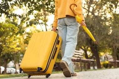 Bavulu ve şemsiyesi olan bir kadın sonbahar parkında yürüyor.