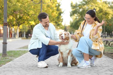 Avustralya çoban köpekli genç çift parkta