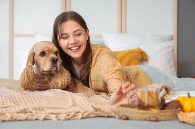 Güzel, genç, mutlu bir kadın ve evde yatağında bir fincan yeşil çayla Cocker Spaniel köpeği.