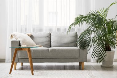 Konforlu kanepe, kahve masası ve oturma odasının iç tarafındaki saksı.