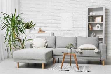 Konforlu kanepe, kahve masası ve oturma odasının iç tarafındaki saksı.