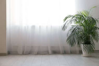 Büyük penceredeki ışık perdesi ve yatak odasının içindeki bitki örtüsü.