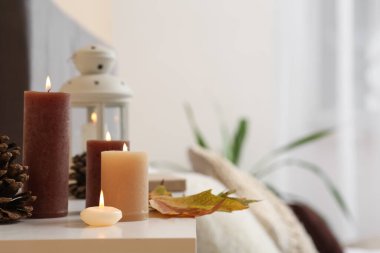 Odada yanan mumlar, kozalaklar ve akçaağaç yaprağı.