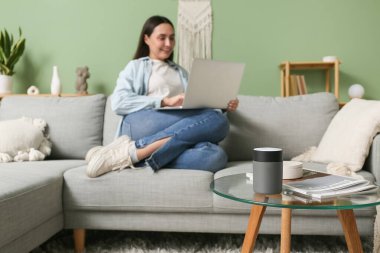 Modern hava nemlendiricisi ve dizüstü bilgisayarıyla evdeki kanepede oturan genç ve güzel bir kadın.