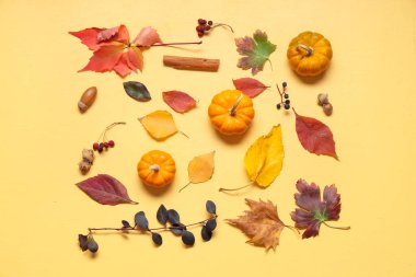 Renkli arkaplanda doğal orman dekoru ve taze balkabaklarıyla kompozisyon