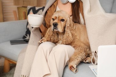 Güzel genç kadın ve şirin Cocker Spaniel köpeği evdeki kanepede oturmuş yeşil çay içiyorlar.