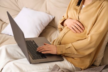 Genç hamile kadın evdeki kanepede dizüstü bilgisayar kullanıyor.