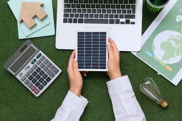 Güneş paneli, laptop, hesap makinesi ve çimlerin üzerinde ampul olan bir kadın. Yeşil Enerji kavramı