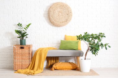 Odanın içi yumuşak bank, sepet ve bitkilerle dolu