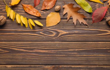 Ahşap arka planda güzel düşmüş yaprakları olan kompozisyon