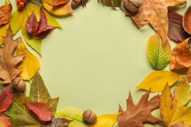 Yeşil arka planda düşen güzel yapraklar, meşe palamutları ve kızılcık üzümlerinden yapılmış çerçeve, yakın plan