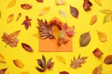 Zarflı kompozisyon, kepek üzümü ve sarı arka planda düşen güzel yapraklar.