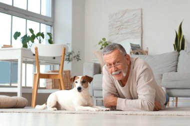 Evde yerde yatan sevimli Jack Russell teriyeri olan olgun bir adam.